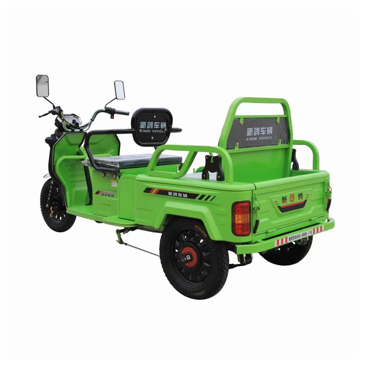 Næste artikelElektrisk Tricycle Mini Truck